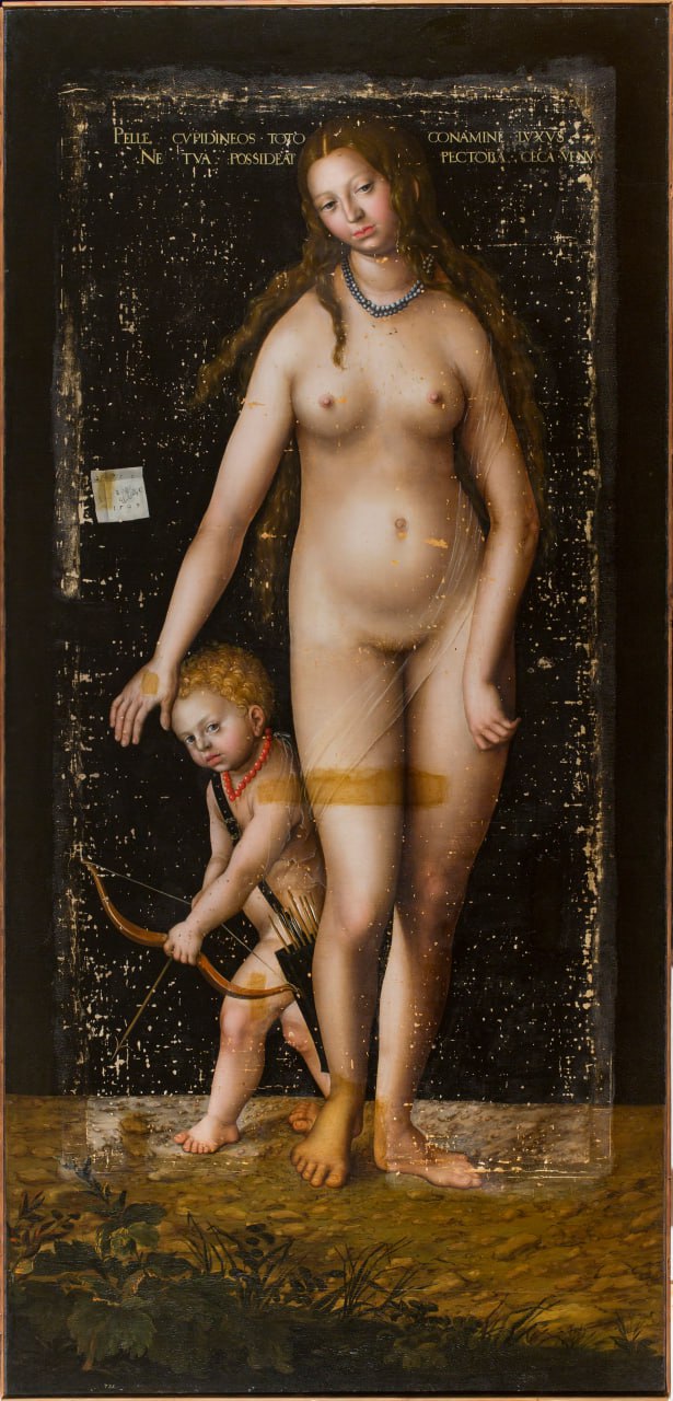 Эрмитаж и Интеррос начинают вторую эмиссию арт токенов NFT говорится в пресс релизе Интерроса Платформа Атомайз обеспечивает создание и хранение арт токенов а Т технологии головная компания Т банка делает затем возможной покупку их в качестве цифровых финансовых активов ЦФА  Стоимость одной ЦФА составит 270 тыс рублей Доходность и возврат номинала не предусмотрены При погашении инвестор получит 0 01 рублей В новой эмиссии токенизированы три изображения картины Венера и Амур каждое из которых фиксирует один из этапов реставрационных процедур Они показывают картину в трех состояниях в ультрафиолетовых лучах с первыми пробными раскрытиями в обычном свете после снятия старого лака и после подведения грунта и покрытия новым лаком   Первый выпуск арт токенов Эрмитаж и Интеррос осуществили в 2023 году Тогда токенизировали изображения трех фресок учеников Рафаэля из собрания Эрмитажа Венера и Амур на дельфинах Венера и Адонис и Венера вынимающая занозу пресс служба компании Интеррос Telegram Max