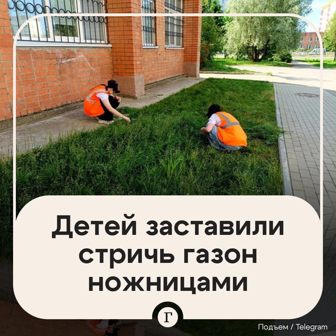 Школьников заставили стричь газон ножницами.  В Ярославской области старшеклассникам, которые подрабатывают летом в сфере благоустройства, поручили заняться газоном около молодежного центра «Галактика» и вручили для этого обычные канцелярские ножницы.   В местной администрации сообщили, что куратор, который и поставил перед детьми эту цель, «просто неправильно понял задачу».    «Никогда прежде таких вот эксцессов не бывало. Может быть, просто кто-то новенький в молодежном центре — и из-за этого такой казус получился. Конечно, человек, который был ответственен за это, получит втык», — рассказали «Подъему» в администрации.  К слову, после стрижки ножницами по траве прошлись еще и триммером. В администрации не смогли прокомментировать, связано ли это с тем, что дети постригли газон недостаточно хорошо.    — Какое-то издевательство над детьми   — И правильно, что дадут втык
