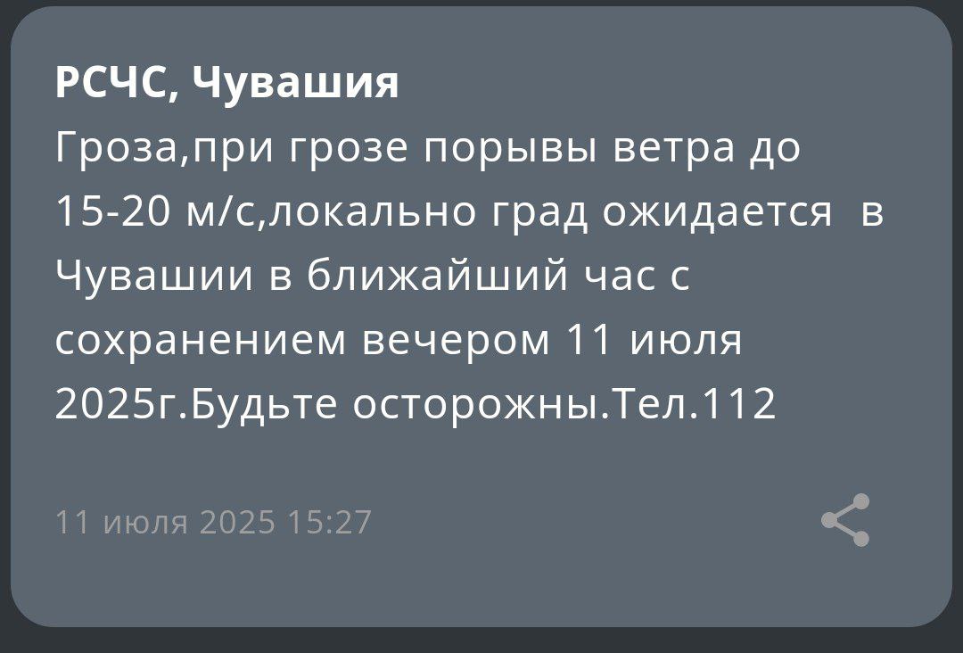 МЧС: В ближайший час в Чувашии ожидается гроза с порывами ветра до 15-20 м/с, местами возможен град. По сообщению ведомства, непогода может продержаться до вечера.