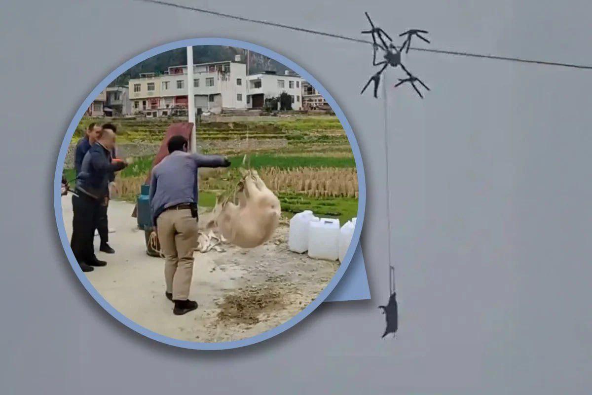 В Китае устроили блэкаут из за свиньи на дроне Фермер решил перевезти животное через горы самым нестандартным способом поднял его в воздух на беспилотнике Но план провалился дрон влетел в линии электропередачи а пассажир завис прямо над проводами В итоге тысячи жителей остались без света Устранять последствия пришлось 12 специалистам на восстановление электроснабжения ушло почти 10 часов