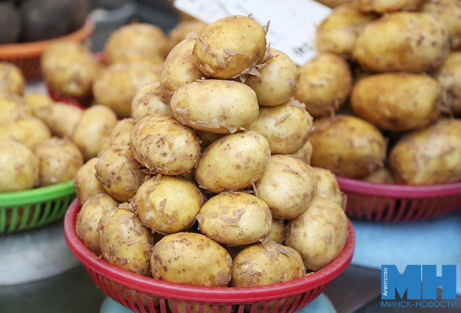 В Беларуси утверждены новые более строгие стандарты качества картофеля Теперь к реализации будет допускаться продукция размером только от 45 до 80 мм тогда как ранее нижняя граница составляла 35 мм В МАРТ подчеркнули что это решение направлено на повышение качества продукции и удовлетворение запросов потребителей Минск Новости MINSKNEWS BY Telegram Viber FB VK Inst TikTok YouTube