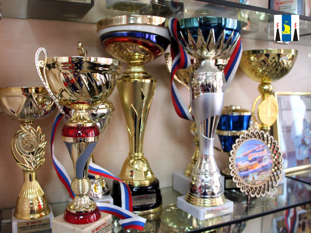 В СахГУ открылась Музейная комната истории физкультурно педагогического образования В Южно Сахалинске по адресу ул Ленина 296 каб 212 открылась Музейная комната посвящённая истории физкультурно педагогического образования на Сахалине  Экспозиция берет отсчет с 12 мая 1992 года дня рождения высшей школы физкультурно педагогических кадров в островном регионе Музей открыт как интерактивная площадка здесь ведётся профориентация популяризация профессий педагога и тренера среди молодёжи а также создаются условия для диалога и передачи опыта между ветеранами и новым поколением специалистов Большую часть материалов музей получил из личного архива доктора педагогических наук профессора Петра Николаевича Пасюкова основавшего высшую школу подготовки педагогических кадров на Сахалине Основные достижения школы лежащие в основе экспозиции Подготовлено более 2000 специалистов преподавателей и тренеров Создано 2 докторские и 11 кандидатских диссертаций опубликовано свыше 400 научных работ Воспитанниками спортивных школ региона стали 11 мастеров спорта международного класса участники Олимпийских игр более 70 мастеров спорта России и 3 заслуженных тренера РФ Совместно с университетом мы разрабатываем новую систему подготовки тренеров преподавателей В ближайшее время СахГУ начнет их выпускать а музей станет для них отправной точкой погружения в профессию Рассматриваем и возможности стажировок в ведущих вузах страны Хочу поблагодарить Петра Николаевича за создание этого пространства и за вложенные в него смыслы Теперь есть место куда можно принести свои медали где люди увидят реальные достижения наших спортсменов отметил замминистра спорта Сахалинской области Станислав Тюрин Открытие музейной комнаты стало логичным завершением большого научного дня посвященного физической культуре и знаковым шагом в укреплении связи между прошлым настоящим и будущим сахалинского образования и спорта Подписывайтесь на нас в MAX sakhgov