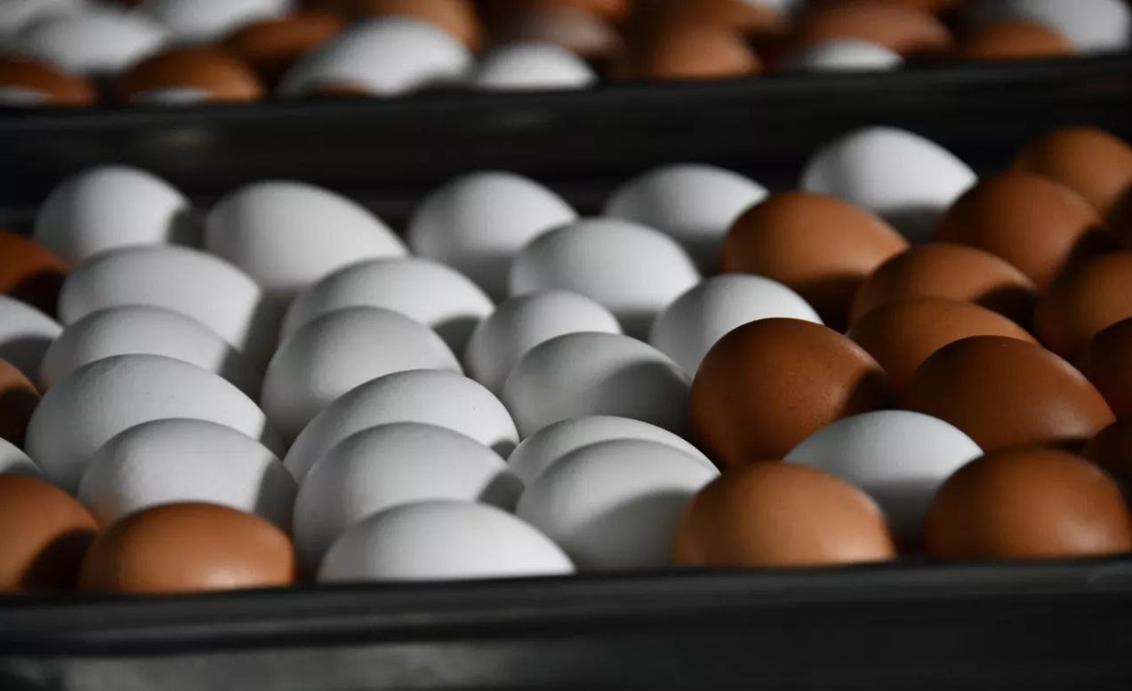 ОАЭ стали крупнейшим покупателем свежих куриных яиц из России за 2025 й туда поставили их 7 2 тыс тонн стоимостью 8 6 млн сообщает Агроэкспорт jkinvest news jkinvest