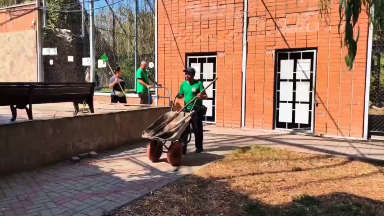 Ростовский зоопарк пополнился андским кондором, крупнейшей летающей птицей Западного полушария