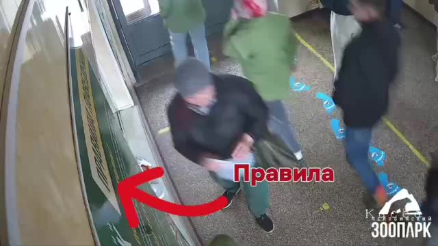 Челябинка нарушила правила зоопарка, покормив медведей и пеликана морковью