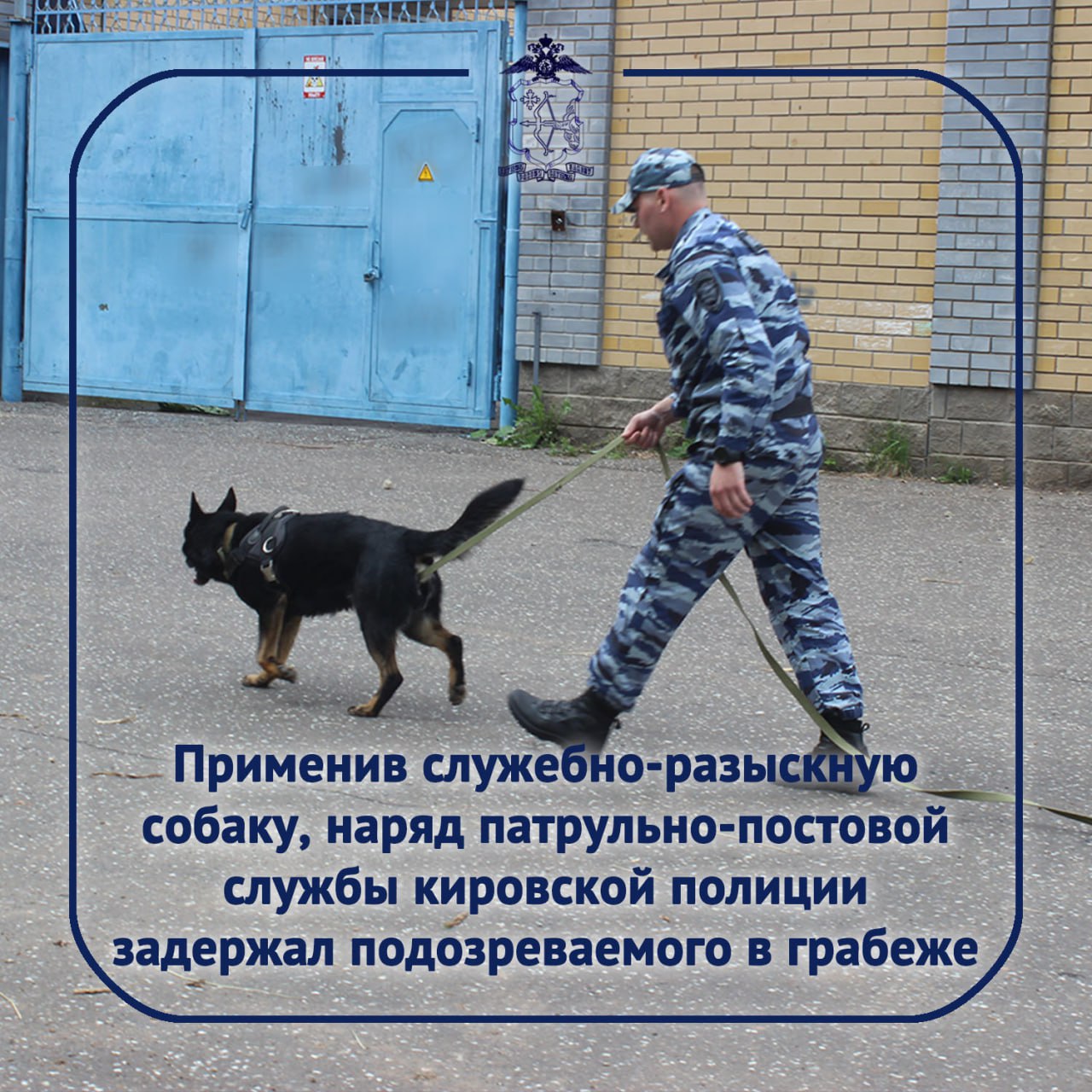 15 июля около 1 часа ночи в дежурную часть полиции поступило сообщение о грабеже в круглосуточном магазине на улице Калинина г. Кирова. Продавец магазина рассказала полицейским, что посетитель в состоянии опьянения взял с витрины две бутылки водки, спрятал их в карманы и, несмотря на противодействие женщины, скрылся. Полицейский кинолог отдельного батальона ППСП применил служебно-разыскную собаку по кличке Грэй. Взяв след, служебное животное привело стражей правопорядка к жилищу подозреваемого. Полицейские установили очевидцев произошедшего и личность предполагаемого грабителя – к этому времени кировчанин, 1982 года рождения, уже успел покинуть свою квартиру. Позже полицейские задержали мужчину в одном из торговых заведений микрорайона. Похищенное изъято – обе бутылки водки он поставил дома в холодильник. В совершении грабежа мужчина раскаивается. Возбуждено уголовное дело по ч. 2 ст. 161 УК РФ. Предусмотренное наказание – до 7 лет лишения свободы.