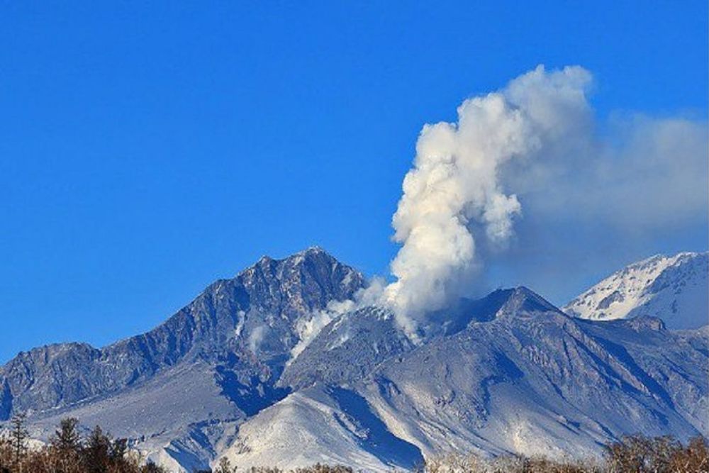 Вулкан Шивелуч выбросил пепел на восемь километров над уровнем моря. Шлейф пепла протянулся на 200 километров на северо-восток. Как сообщили в ИВиС ДВО РАН, в 08:30 17 мая эксплозии подняли пепел вулкана Шивелуч. Его активность опасна для местных и международных авиаперевозок. Шивелуч располагается в 50 км от поселка Ключи и в 450 км от города Петропавловск-Камчатский. Фото: Ю. Демянчук/ИВиС ДВО РАН