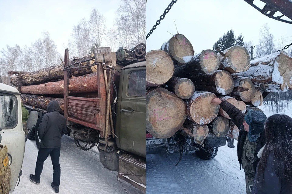 В Новосибирской области пресечена незаконная деятельность «чёрных лесорубов»  В Новосибирской области поймали жителей Искитимского и Бердского районов, которые незаконно рубили деревья. Их деятельность пресекли сотрудники УФСБ России по Новосибирской области, полиции и подразделения собственной безопасности МВД.  - Руководитель участка Бердскго лесхоза в сговоре с двумя предпринимателями, 8 заготовщиками древесины и инспектором ДПС, оказывавшим им покровительство, и регулярно рубили деревья в Искитимском районе, - сообщили в пресс-службе УФСБ по Новосибирской области.  Всего в незаконной рубке деревьев обвиняются 12 человек. Инспектор ДПС обвиняется в получении взятки, ещё один предприниматель дал взятку инспектору, чтобы его не наказали за рубку и провоз деревьев. Возбуждены уголовные дела. Арестовано имущество подозреваемых: тракторы, бульдозер, пилы, машины.    КП - Новосибирск