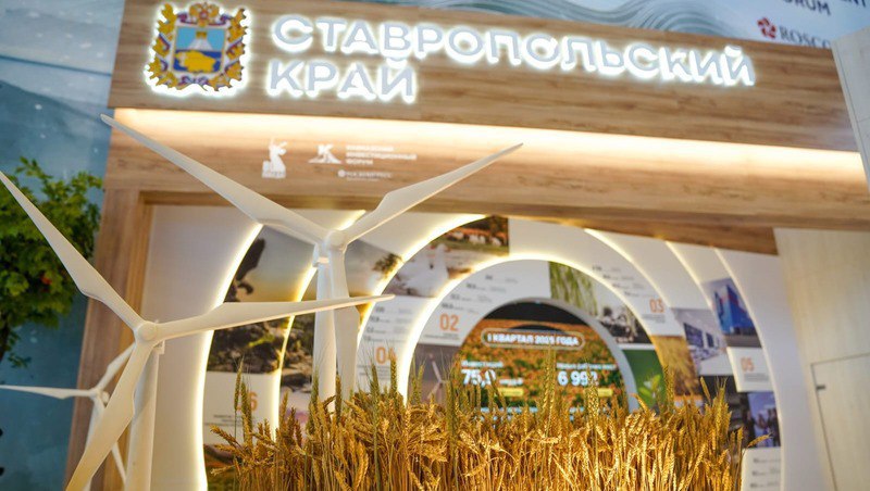 Ставропольский край представит свои возможности на выставке «Регион-2030» в Москве  Ставрополье станет одним из 15 регионов России, которые представят свой потенциал на выставке «Регион-2030». Мероприятие пройдёт с 13 декабря 2025 года по 31 января 2026 года в Национальном центре «Россия» в Москве, сообщается в телеграм-канале Полпреда СКФО.  По данным полпредства президента РФ в СКФО, на стенде Ставропольского края будут организованы тематические недели, посвящённые культуре, традициям, ключевым проектам и направлениям развития региона.  Ставрополье станет единственным представителем Северного Кавказа на выставке.  «Выставка — это хорошая возможность продемонстрировать на всю страну культурное многообразие Ставрополья, наши достижения и стратегию развития»,  — отметил губернатор Владимир Владимиров.  Подпишись — это Кавказ Сегодня!