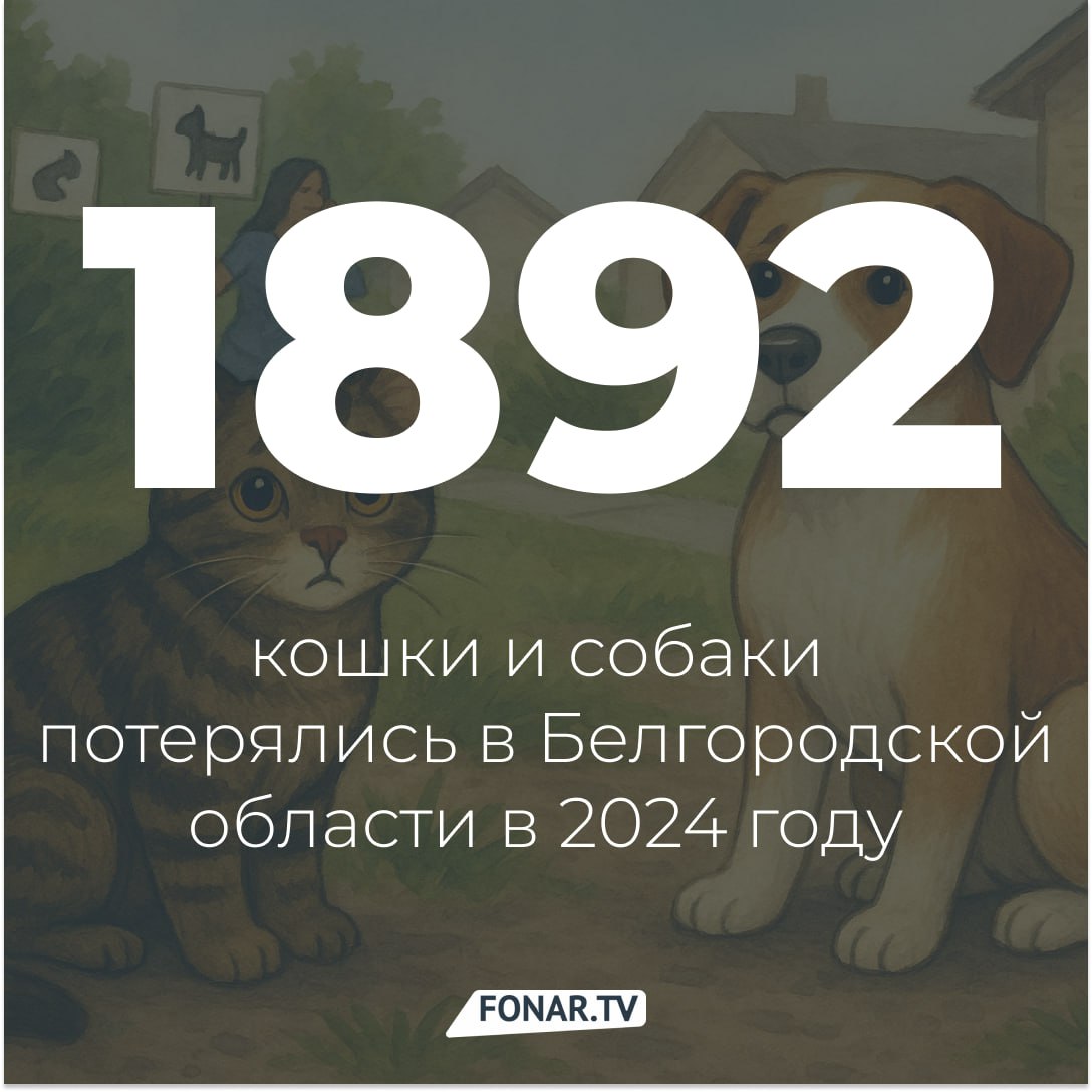 Теряются не только люди, но и кошки с собаками. В 2024 году в Белгороде и области потерялись 899 собак и 993 кошки. Об этом сообщает сервис Pet911, который помогает находить пушистых беглецов по всей стране. Всего же за год в России в розыске побывали более 168 тысяч питомцев — как будто целый город, только из хвостатых и мяукающих. Интересно, что пик пропажи собак — январь: многие звери бегут прочь от громких салютов. А кошки — наоборот, чаще теряются в июле, когда лето зовёт их на уличные приключения. Но найти кошку сложнее: если собак в 90 процентах случаев находят волонтёры, то с кошками этот показатель всего 40 процентов. Помогает и технология: искусственный интеллект PetBot анализирует миллионы фото и помогает находить совпадения. #цифраФонаря Подпишись на «Фонарь» — делимся важным