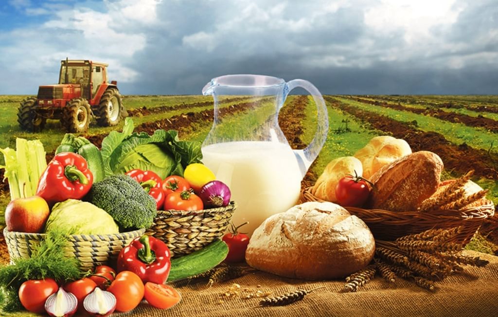 Россия увеличила экспорт агропродукции в ОАЭ на 26% В первом квартале 2025 года Россия поставила в ОАЭ свыше 290 тыс. тонн сельхозпродукции — это на 26% больше, чем за тот же период прошлого года. Основу экспорта составила пшеница — 244 тыс. тонн или 82% от общего объема Сильнее всего вырос экспорт молочной продукции — в 7,7 раза до 54 тонн , в том числе мороженого в 3 раза до 19 тонн . Также выросли поставки зернобобовых — почти вдвое до 13,5 тыс. тонн , мясной продукции и ячменя.