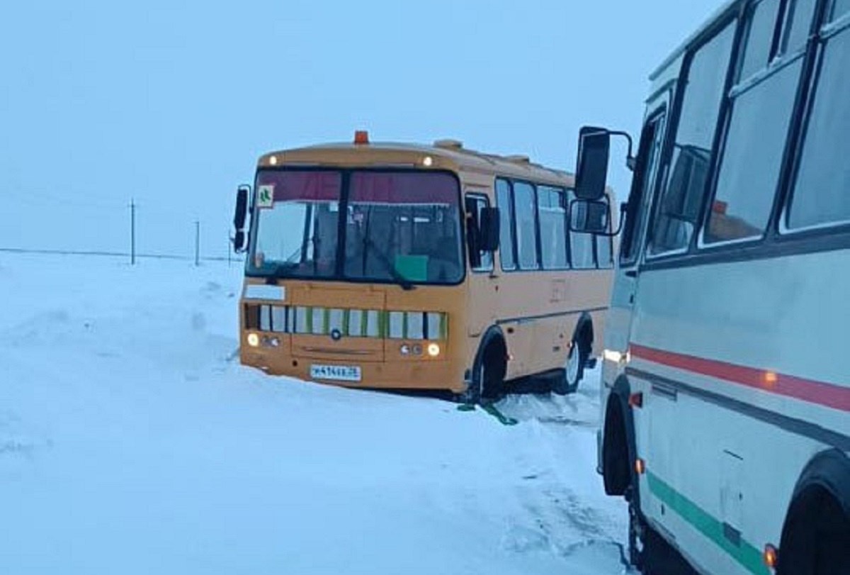 Амурский спасатель вызволил из снежного плена школьный автобус  Ранним утром в пятницу, 7 февраля, школьный автобус застрял в снежном наносе на маршруте между селами Гильчин и Муравьевка. Водителя выручил проезжавший мимо сотрудник пожарной части №60 села Тамбовка Денис Титаев.  Спасатель ехал на дежурство, когда в 7:40 заметил на обочине школьный автобус. Денис остановился и помог водителю расчистить снег вокруг автобуса, чтобы он смог выехать из снежного плена. После приезда погрузчика он организовал процесс буксировки, зацепив специальные стропы за технику.