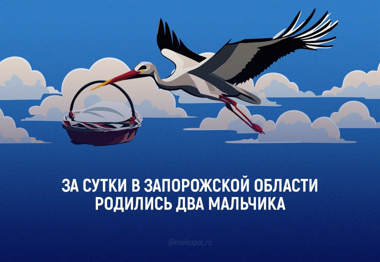 За сутки в Запорожской области родились два малыша В Запорожской области за последние сутки на свет появились два мальчика, сообщили в региональном минздраве.