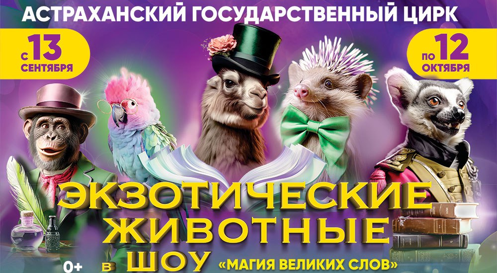 Произведения русской классики ожили в астраханском цирке На цирковой арене артисты воплощают образы героев Лермонтова Маршака Пушкина Толстого Чехова Шолохова Персонажей знакомых каждому представляют воздушные гимнасты и канатоходцы клоуны и конечно же животные Шоу Магия великих слов незабываемые и захватывающие эмоции для детей и взрослых Когда 20 и 21 сентября Билеты от 800 рублей Подробности здесь Подписывайтесь на канал