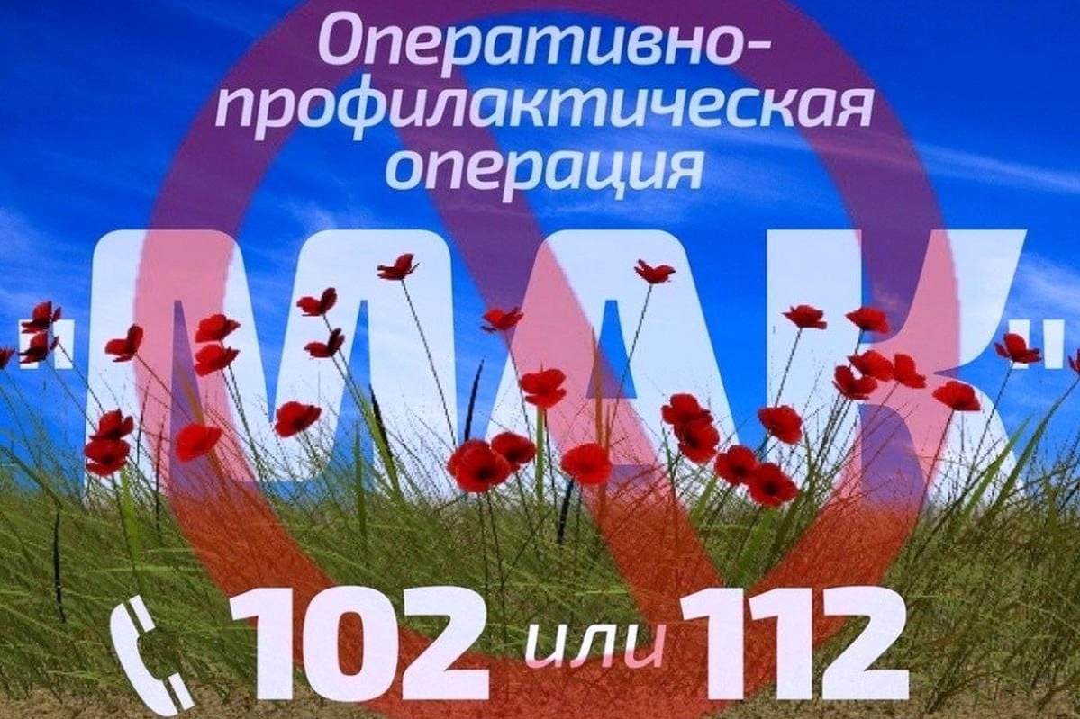 В УМВД России по Тульской области подведены итоги проведения межведомственной комплексной оперативно-профилактической операции «Мак - 2024»   В УМВД России по Тульской области подведены итоги проведения межведомственной комплексной оперативно-профилактической операции «Мак - 2024».  Операция проводилась с 21 мая по 27 октября текущего года и была направлена на противодействие распространению и потреблению наркотиков естественного происхождения, а также выявление и ликвидацию незаконных посевов и очагов произрастания дикорастущих наркосодержащих растений.  По результатам проведения операции выявлены 84 преступления и 107 правонарушений в сфере незаконного оборота наркотиков естественного происхождения, из незаконного оборота изъято более 45 килограмм 500 грамм подконтрольных веществ растительного происхождения и более 14,5 килограмм частей наркосодержащих растений.  Выявлены 22 факта незаконного культивирования наркосодержащего растения конопли. Виновные лица привлечены к ответственности в соответствии с действующим законодательством Российской Федерации.  Уважаемы граждане!  Работа по выявлению и пресечению правонарушений и преступлений в сфере незаконного оборота наркотиков органами внутренних дел ведется непрерывно.  В случае получения информации о фактах незаконного оборота, потребления или пропаганды наркотиков, Вы можете обратиться по круглосуточному телефонному номеру УМВД России по Тульской области – 32-22-49, или по телефонам экстренной службы 102 и 112.  #МВД #МВДРоссии #Полиция #ПолицияРоссии #Police #RussianPolice #Russia #ТульскаяПолиция #НЕТНаркотикам #СТОПНаркотики #ОПММАК2024