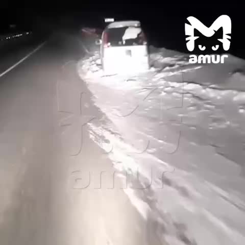 Жители Петропавловска Камчатского прорыли тоннель в снегу к спортзалу