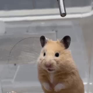 Центральный банк предупреждает о рисках структурных облигаций для инвесторов