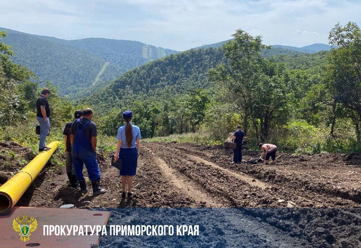 В районе бухты Лазурной погиб охранник при строительстве газопровода 6 сентября 2025 года в районе бухты Лазурная произошел несчастный случай на строительстве газопровода В результате разгерметизации трубы погиб охранник строительного участка Прокуратура взяла на контроль расследование инцидента Надзорное ведомство проверяет соблюдение законодательства в сфере охраны труда и техники безопасности при организации работ На место происшествия выехал представитель прокуратуры Ход доследственной проверки и результаты расследования Государственной инспекции труда поставлены на особый контроль Присылайте ваши фото и видео в наш телеграмм бот Deitaru