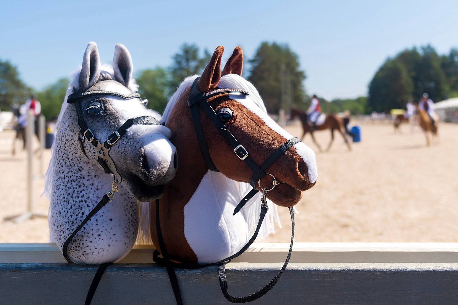 Продажи товаров для хоббихорсинга в России выросли на 142 так россияне готовятся встретить Новый год лошади Лошадь на палочке можно приобрести за 1600 6000 рублей Также увеличилось количество покупок специальных шампуней для хоббихорсов на 381 а также барьеров на 97 и загонов на 124 для них