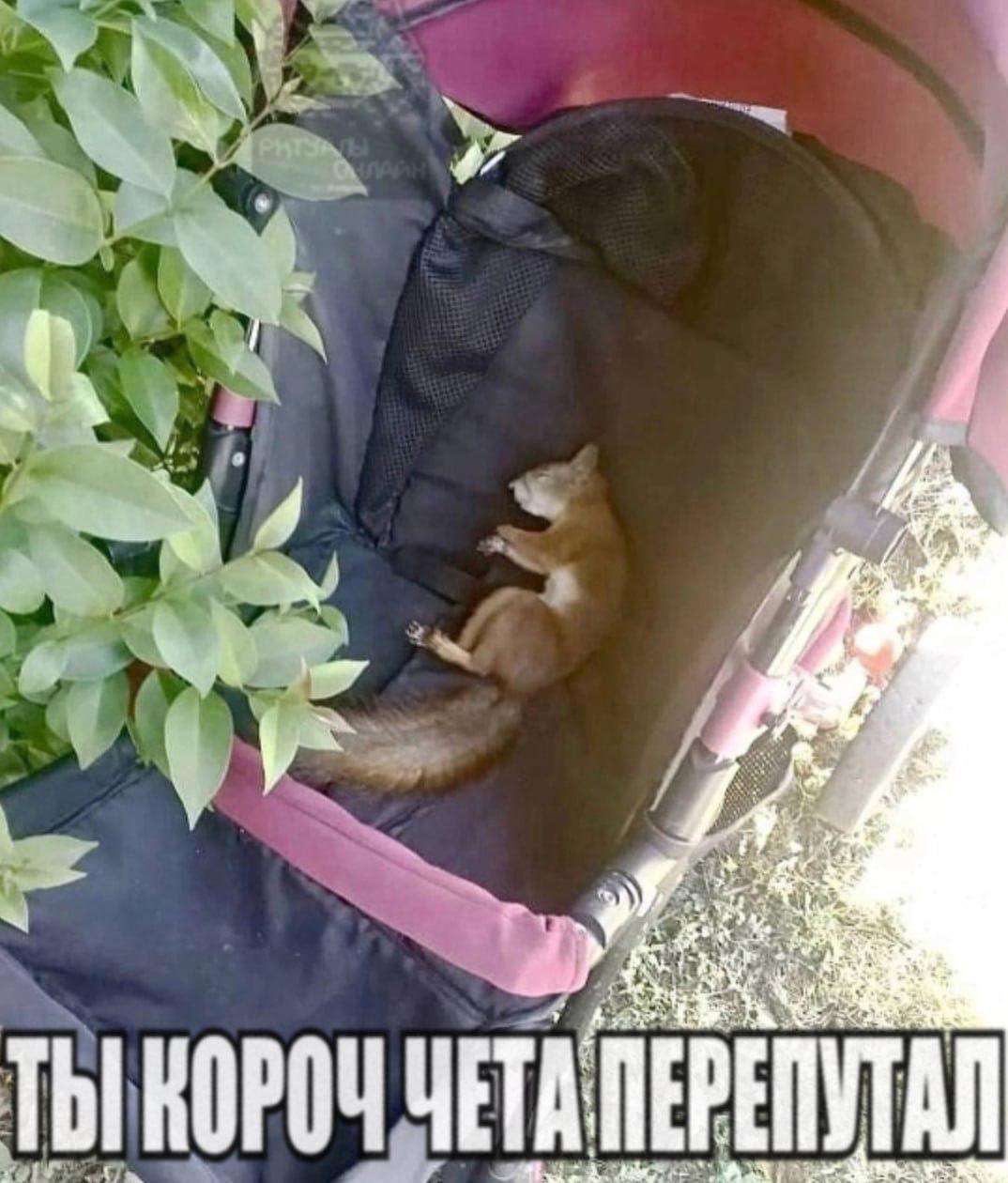 В Татарстане планируют выплачивать пособие беременным учащимся очно девушкам возрастом от 14 лет Размер материальной помощи составит 100 тысяч рублей   inde io news v tatarstane planiruyut vyplachivat posobiya beremennym uchashhimsya 14 18 let