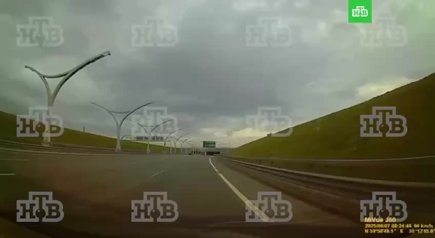 Поиски сбежавшего джек-рассел-терьера продолжаются в Санкт-Петербурге