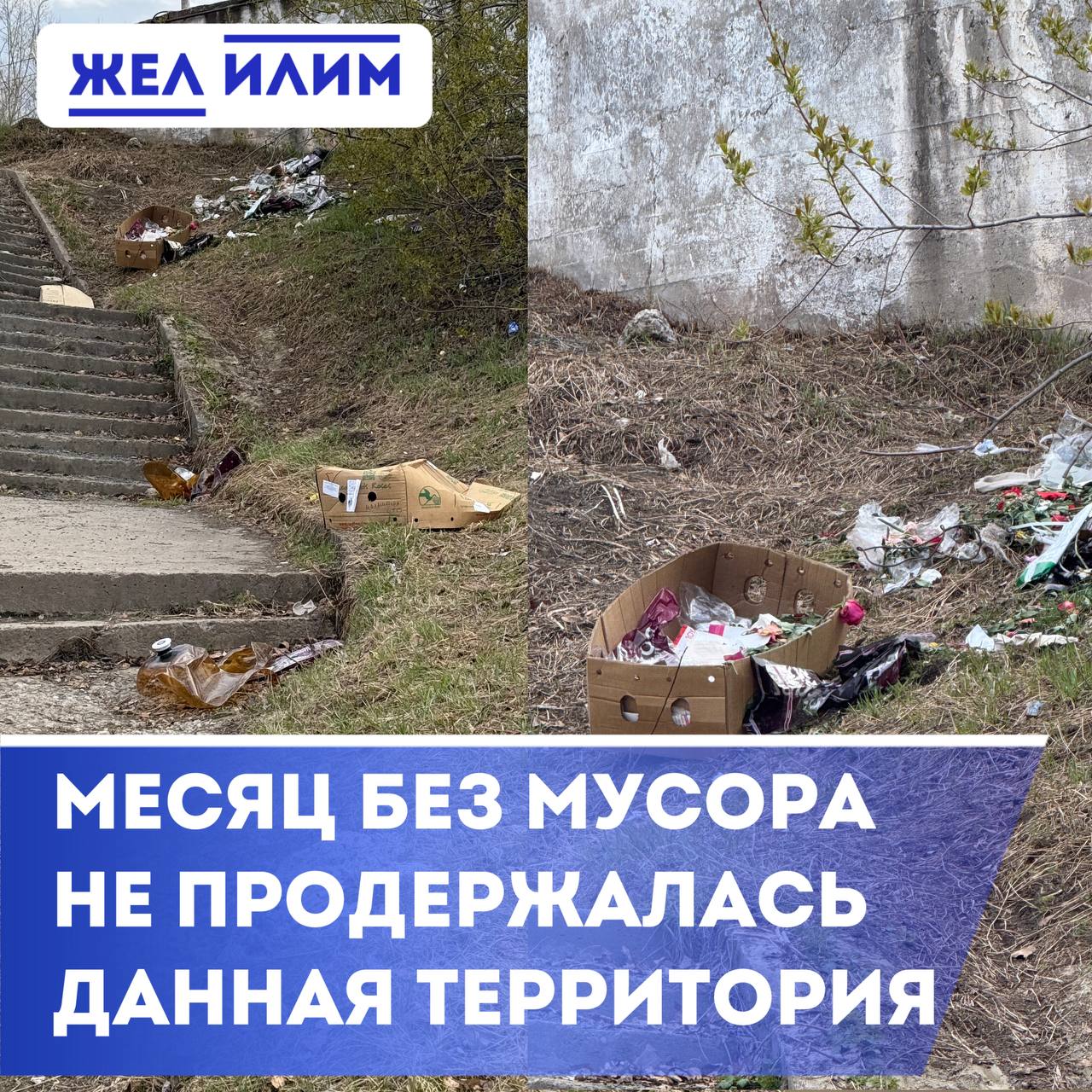 Бутылки «наливаеек», мусор магазинов. Территория у «Шанса» не продержалась даже месяца в чистоте. В апреле МКУ «Чисты город» убрал горы накиданного мусора в этом месте. Сейчас территория уже выглядит вот так: большие пластиковые бутылки для розлива «пенного», коробки с мусором из соседних магазинов. ⁉ Кто теперь должен убирать?