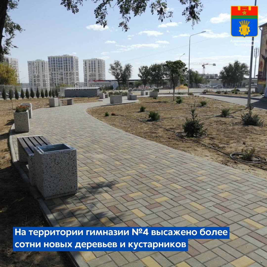 В гимназии 4 Ворошиловского района продолжаются работы по обновлению здания образовательного учреждения и созданию нового спортивного ядра Также подрядная организация уже завершила высадку зеленых насаждений рядом со школой  Пришкольную территорию украсили две шелковицы и 10 елей Также во дворе учреждения появились кустарники барбарис спирея и 90 саженцев можжевельника Уход за растениями обеспечивает современная система полива В рамках проводимого благоустройства продолжаются работы по обновлению проездов здесь установлены бортовые камни и уложен первый слой асфальтобетона Помимо этого специалисты приступили к созданию на территории гимназии современного спортивного ядра Уже выполнена вертикальная планировка и создано щебеночно песчаное основание для многофункциональной спортплощадки и секторов для занятий воркаутом и прыжками в длину Непосредственно в самом здании школы завершается замена кровельного покрытия эти работы выполнены на 90 процентов  Весной текущего года на территории гимназии 4 уже был реализован ряд мероприятий по благоустройству В частности произведена замена ограждений отремонтированы пешеходные дорожки и площадка для мусорных контейнеров