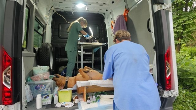 Волгоградские зооволонтёры центра Дино создадут уникальный мобильный госпиталь для животных Донбасса Реализуется проект благодаря финансовой помощи Фонда президентских грантов в копилке диновцев уже есть 8 млн руб на которые в ближайшее время будет куплена Газель Прямо на заводе в Нижнем Новгороде её превратят в полноценный ветеринарный госпиталь Установят климат контроль стационарные хирургические столы и современное диагностическое оборудование Часть техники есть но для полной комплектации потребуется дополнительное финансирование Взамен ожидаемой помощи борты автомобиля распишут брендами благотворителей Имея передвижную ветклинику диновцы смогут помочь сотням бездомных хвостиков и питомцам местных жителей на территориях новых регионов России Проект охватит множество городов Курахово Авдеевку Горловку Новую Каховку Мелитополь Кировск Счастье и др Животным проведут терапевтическое и хирургическое лечение стерилизуют и вакцинируют