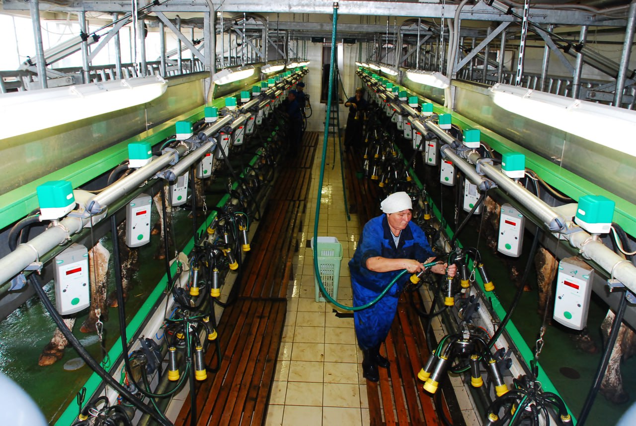 Молочное обращение Президиум Госсовета Удмуртии принял обращение к министру сельского хозяйства России о существенном снижении закупочных цены на сырое молоко По мнению депутатов ситуация может привести к серьезным рискам в агропромышленном комплексе региона падение выручки и прибыли предприятий снижение налоговых поступлений сокращение зарплат работников и поголовья животных дефицит кадров риск убыточности банкротство остановка деятельности Подписаться на нас Telegram I MAX