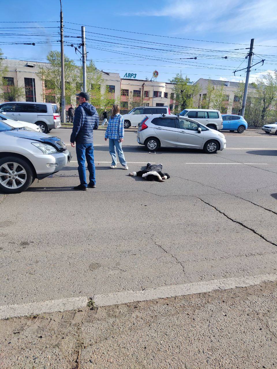 Попала под колёса сразу двух авто: серьёзное ДТП на около проходной ЛВРЗ По предварительным данным, около 17:00 32-летняя водитель автомобиля «Лексус» сбила 27-летнюю пешеходку вне зоны пешеходного перехода. От удара девушку отбросило, после чего её задел автомобиль «Хонда Степ Вагн». В результате ДТП пешеход получила тяжёлые травмы. Источник: Полиция РБ Связаться с нами можно через ссылку вверху экрана «Написать нам»