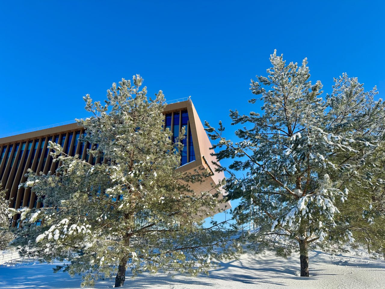 Заняли второе место в стране по качеству платного приёма В мониторинге НИУ ВШЭ мы оказались на второй строчке по качеству платного приёма 83 2 балла ЕГЭ и на четвёртой по качеству совокупного приёма 87 баллов Всего эксперты исследовали 815 российских вузов 395 государственных 329 филиалов и 91 негосударственный