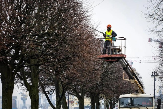 Вопреки морозам в Петербурге уже началась подготовка зелёных насаждений к весне Формовочную обрезку деревьев как пояснили в администрации проводят именно при минусовой температуре пока растения в состоянии покоя В этом году планируется привести в форму 5 тысяч деревьев и более 700 тысяч кустарников Параллельно в оранжереях идёт посев цветов для будущего весеннего оформления улиц и площадей Telegram Все каналы Фонтанки Max