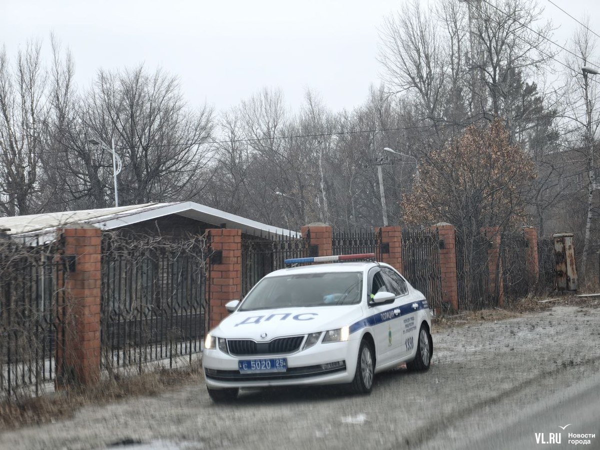 На Садгороде после сообщений о тигре появился наряд ДПС. Патрульная машина стоит на улице Главной возле «Лесной поляны», внутри находится один один сотрудник полиции. На горнолыжке сейчас снежат трассу, охотнадзора пока не видно. Полосатую кошку со вчерашнего вечера пока нигде больше не замечали.