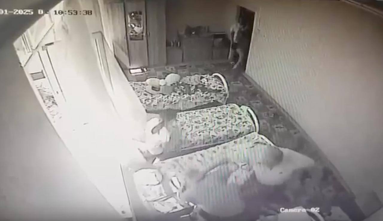 Жестокие издевательства над котёнком в ставропольском детдоме: уволен вахтёр. История, которую нельзя читать без слёз. 31 мая ребята принесли в садик котёнка, раздобыли корм и молоко и попытались покормить хвостатого. Как сообщил один из сотрудников детдома, вахтёр якобы задушил котёнка и избил 18-летнюю девочку. Та написала заявление. Краевой минобр проводит внеплановую проверку. Подписаться прислать новость