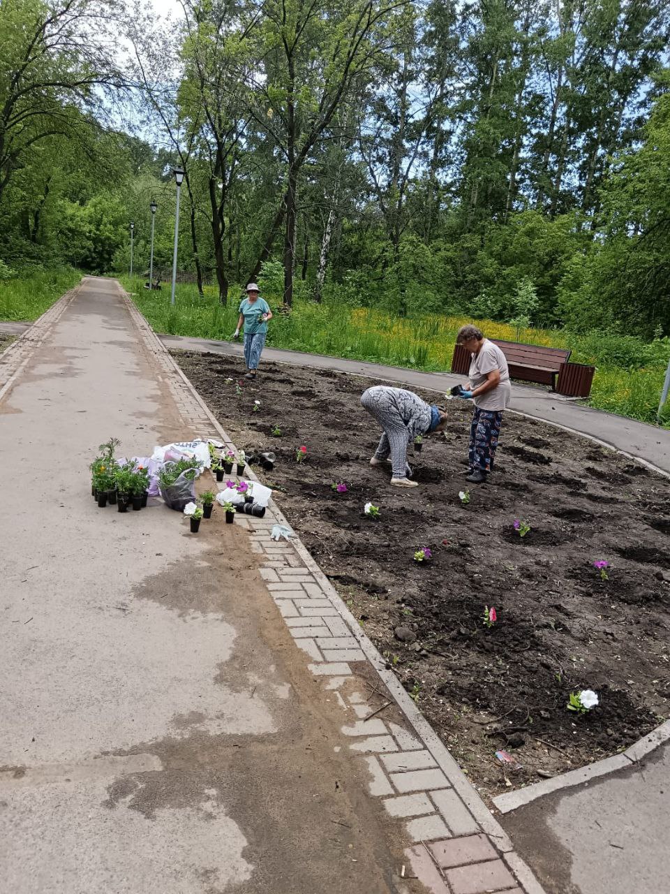Сегодня активисты района Абагур высадили цветы в парке Победы. Их энтузиазм и преданность району служат вдохновляющим примером для всех нас. Парк Победы, благодаря их усилиям, расцветает новыми красками, становясь еще более привлекательным местом для отдыха и прогулок жителей. Особую благодарность хочется выразить за их вклад в поддержание красоты и уюта. Ведь именно такие неравнодушные люди, как Таланова А. П., Лихотникова В. С., Цизман З. А. и Червяк Н. Е., создают атмосферу тепла и добрососедства в Абагуре.