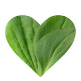 Аватар Телеграм канала: лидер мнений среди удобрений