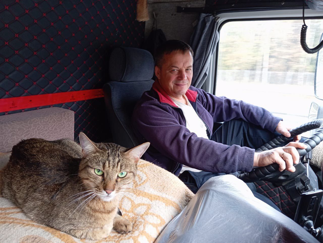 Кот Федос сбежал от хозяйки Эльвиры во время стоянки поезда в Казани она открыла переноску полосатый исчез в закоулках вагона Поиски результата не дали хозяйке пришлось возвращаться в Москву без Федоса Нашелся кот в Амурской области все это время он прятался в конструкциях вагона Вытащить его смогли приманив голосовым сообщением с голосом Эльвиры Пока хозяева летели на самолете на Дальний Восток забирать путешественника машинист и инженер состава проехали полтысячи километров из Тынды в Нерюнги чтобы вручить Федоса семье сообщает Telegram канал 112 и делится фото виновника переполоха inkazanischa теперь и в МАХ