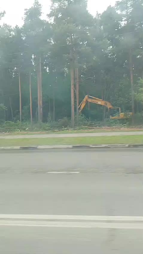 В Раменском началась вырубка Булонского леса под жилую застройку