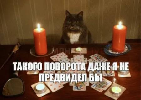 Россиянку оштрафовали за публикацию гадальной карты Жительница Краснодара Елена Данилова выложила в соцсетях фотографию с картой на которой изображён дьявол и пентаграмма Суд признал это символикой Международного движения сатанистов признано запрещенным и внесено в перечень террористов и экстремистов Росфинмониторинга Елену оштрафовали на 1 тысячу рублей максимальный штраф по статье 2 тысячи Кубанские Новости Мы в MAX