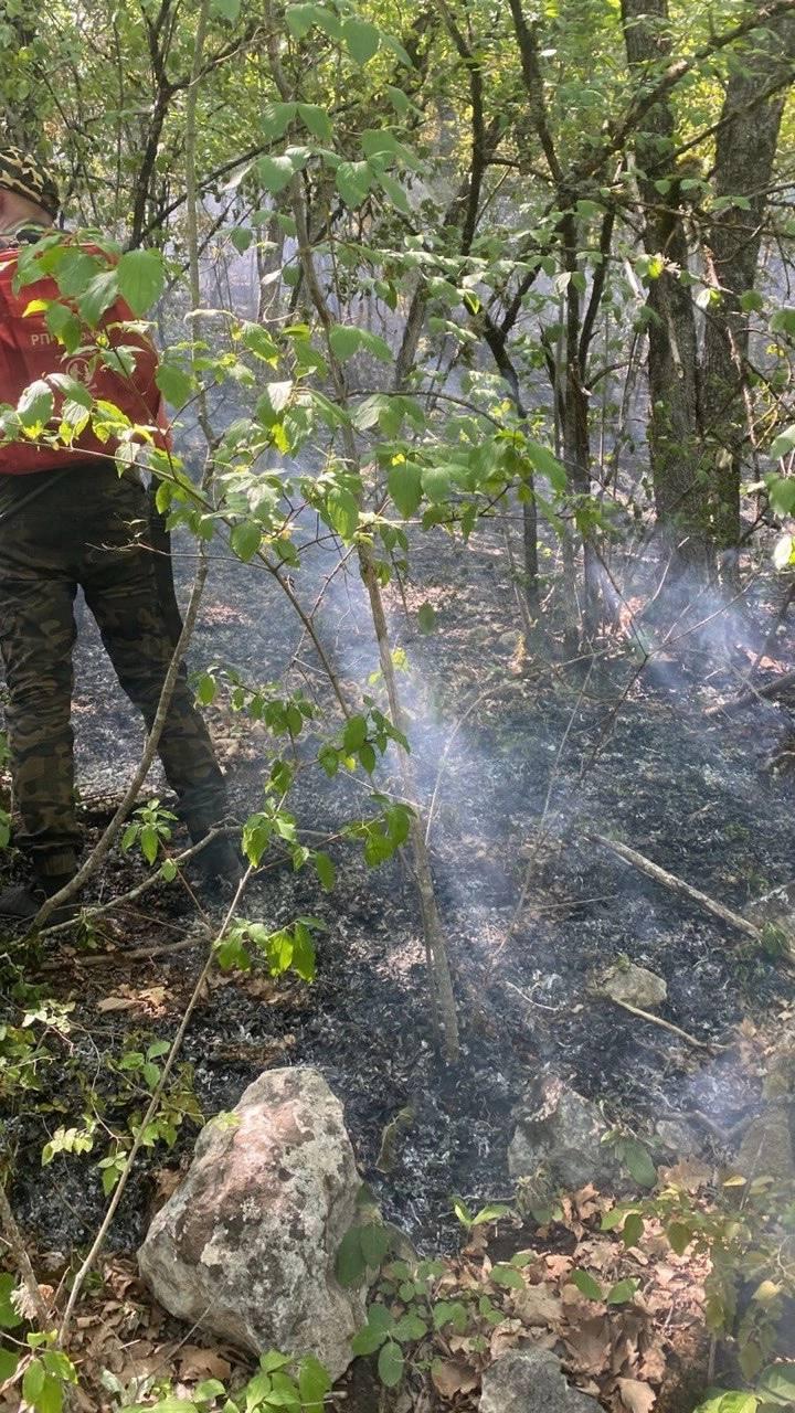 В Крыму локализовали лесной пожар в районе горы Бурун-Кая В тушении пожара принимали участие сотрудники МЧС и волонтёры, сообщила министр экологии и природных ресурсов РК Ольга Шевцова. «Благодарю всех, кто сегодня принимал участие в тушении лесного пожара в районе горы Бурун-Кая. Особая благодарность волонтерам! 73 человека и 16 единиц техники. Справились вместе. Возгорание локализовано», – сказала она. Фото: Telegram-канал Ольги Шевцовой Крым 24