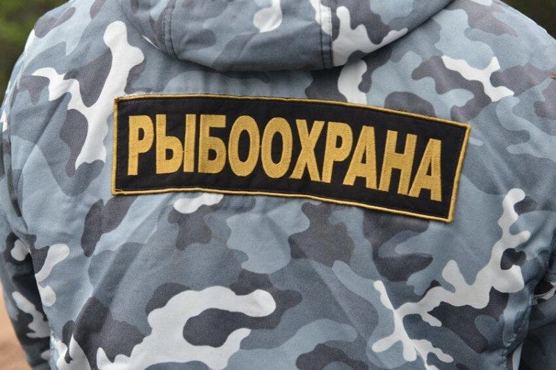 Камчатского рыбинспектора ждет суд по новому делу о липовых административках В Усть Большерецком округе завершено расследование дела госинспектора Росрыболовства обвиняемого в превышении должностных полномочий выразившимся в незаконном возбуждении административных дел п е ч 3 ст 286 УК РФ сообщили агентству КАМЧАТКА ИНФОРМ в СУ СКР по Камчатскому краю По данным ведомства преступление чиновник совершил в октябре 2023 года Чтобы завысить показатели своей работы и получить премию он незаконно составил на двух человек протоколы об административных нарушениях Уголовное дело передано в прокуратуру для утверждения обвинительного заключения и последующего направления в суд Как сообщалось ранее этот рыбинспектор попался на аналогичных преступлениях В 2024 году на одной из туристических баз в Читать на сайте kamchatinfo com news crimes detail 72477