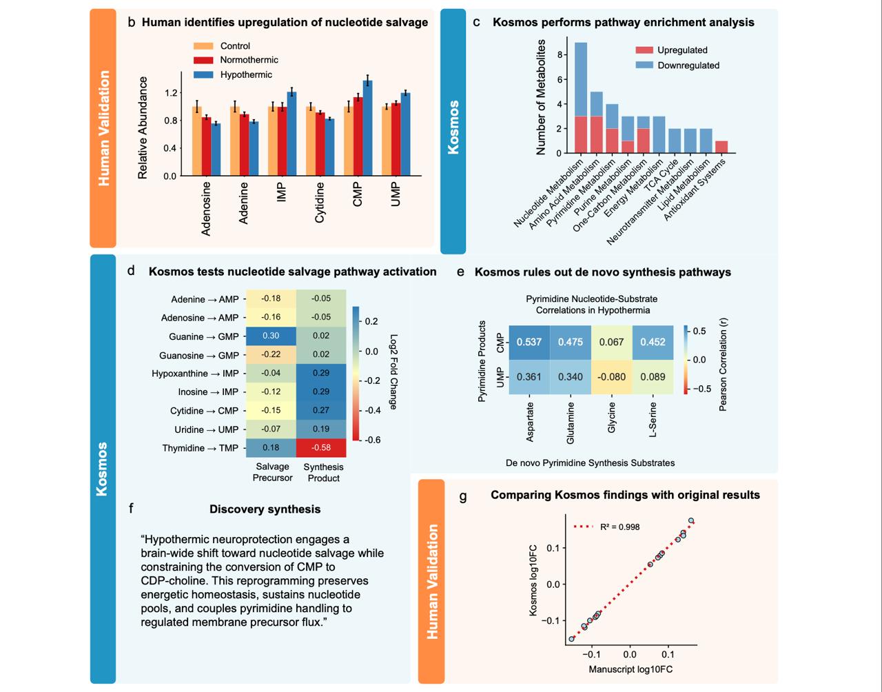 Новый ИИ агент сделал 7 научных открытий за один запуск Человеку на это понадобилось бы полгода работы За 12 часов Kosmos успел прочитать 1500 статей провести 200 исследовательских циклов и сгенерировать 42 тыс строк кода Результат 7 научных открытий 4 новых и 3 уже известных При этом вмешательство человека все еще необходимо если аналитические выводы агента были корректны на 85 5 то интерпретационные лишь на 57 9