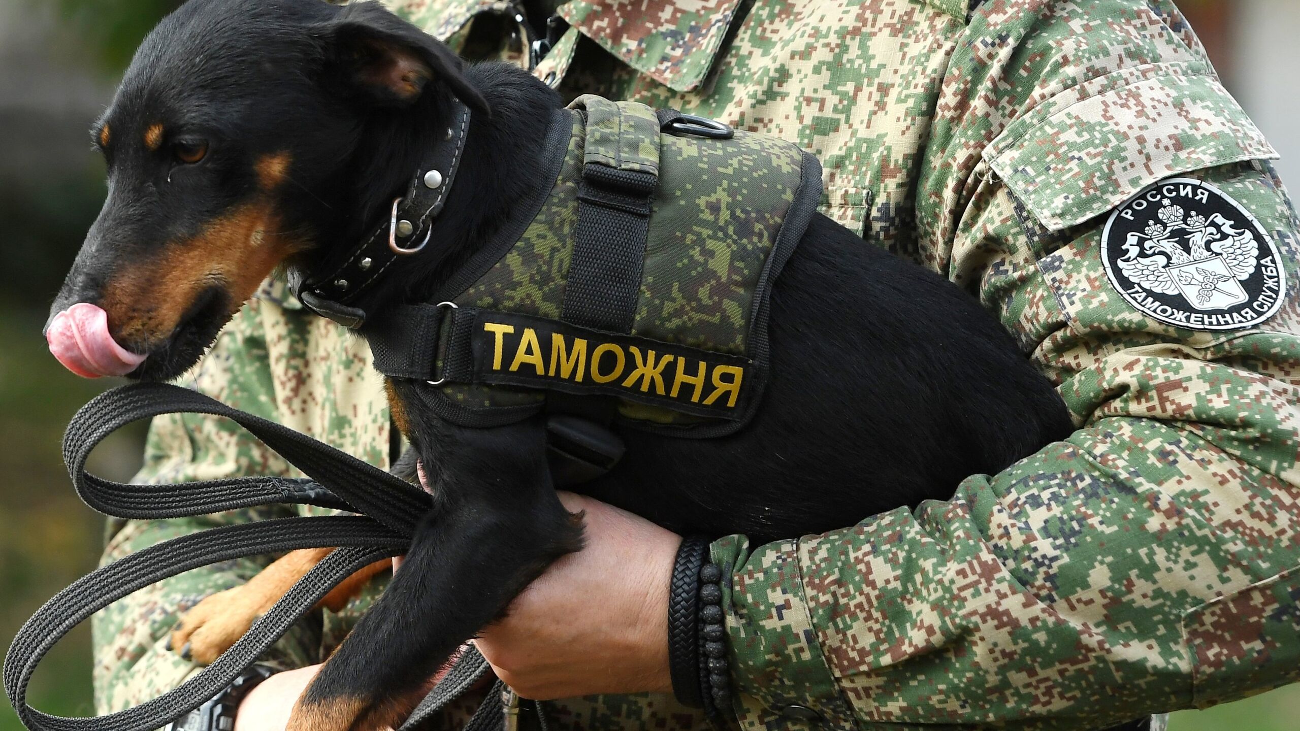 Таможенники обнаружили 3 килограмма марихуаны в посылке из США, которую получил житель Пятигорска, возбуждено уголовное дело, сообщила пресс-служба ФТС России.