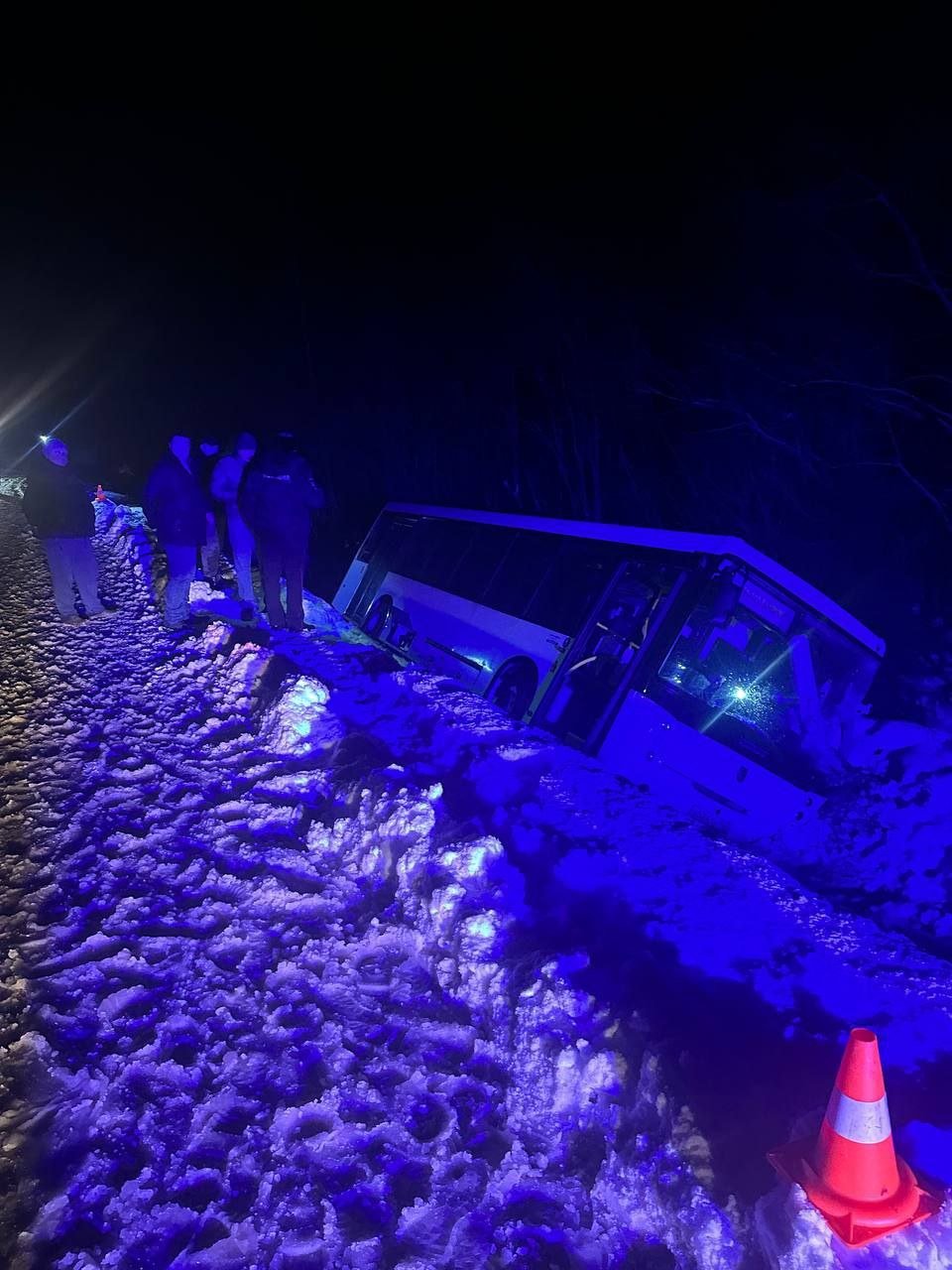 Шесть человек пострадали в ДТП с участием служебного автобуса в Ленобласти  На автодороге «Верхние Мандроги» водитель служебного автобуса не справился с управлением и съехал в кювет. Об этом сообщили в пресс-службе прокуратуры Ленобласти.  По нашим данным, шесть человек госпитализированы, их состояние уточняется.  В настоящее время выясняются все обстоятельства случившегося. Проверка проходит под контролем прокуратуры региона.  UPD. Пострадало 12 человек, 5 из которых госпитализированы в тяжелом состоянии. На момент аварии в автобусе находилось 16 пассажиров.  52-летний водитель, управляя служебной развозкой «Нефаз», не справился с управлением. Об этом сообщили в пресс-службе  ГУ МВД России по Петербургу и Ленобласти.    Пресс-служба прокуратуры Ленобласти