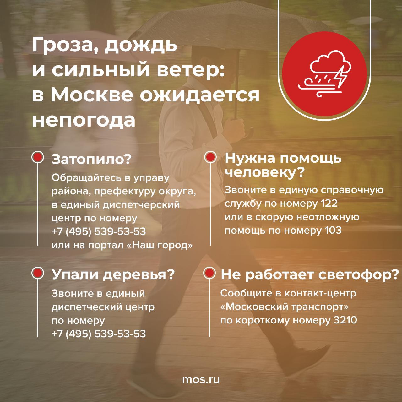 Сегодня в Москве прогнозируют кратковременный дождь, грозу и усиление ветра. В отдельных районах возможны ливни с градом. Будьте осторожны на улице в непогоду. Если вы заметили сломанные светофоры и дорожные знаки, накрененные деревья и непрочно закрепленные рекламные конструкции, сообщите об этом на странице «Безопасное лето» или по телефонам в инфографике.