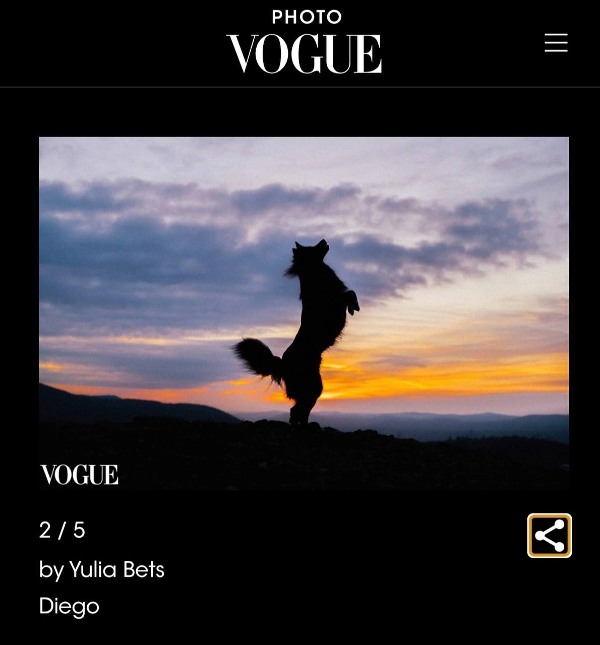 Пес из красноярского приюта попал в Vogue Хозяйка лайки по кличке Диего Валентина Щербина рассказала ТВК, что фотограф, которая сделала снимок песеля на Торгашинском хребте, сама отправила фото на сайт Vogue. Заявку долго не могли принять из-за сложностей отбора фотографий из России, но в итоге снимок с Диего разместили на международном ресурсе. У Диего непростая судьба. Он родился недалеко от Норильска. Его мать бросил хозяин, собака ощенилась на улице в мороз. Щенки могли замерзнуть, но их спасли вахтовики. Мать Диего и его братьев на вертолете отправили в Норильск, а оттуда в приют «Хаски Сибири» в Красноярске. Там Диего спустя несколько месяцев и нашла его будущая хозяйка Валентина. Это Борус.Люди