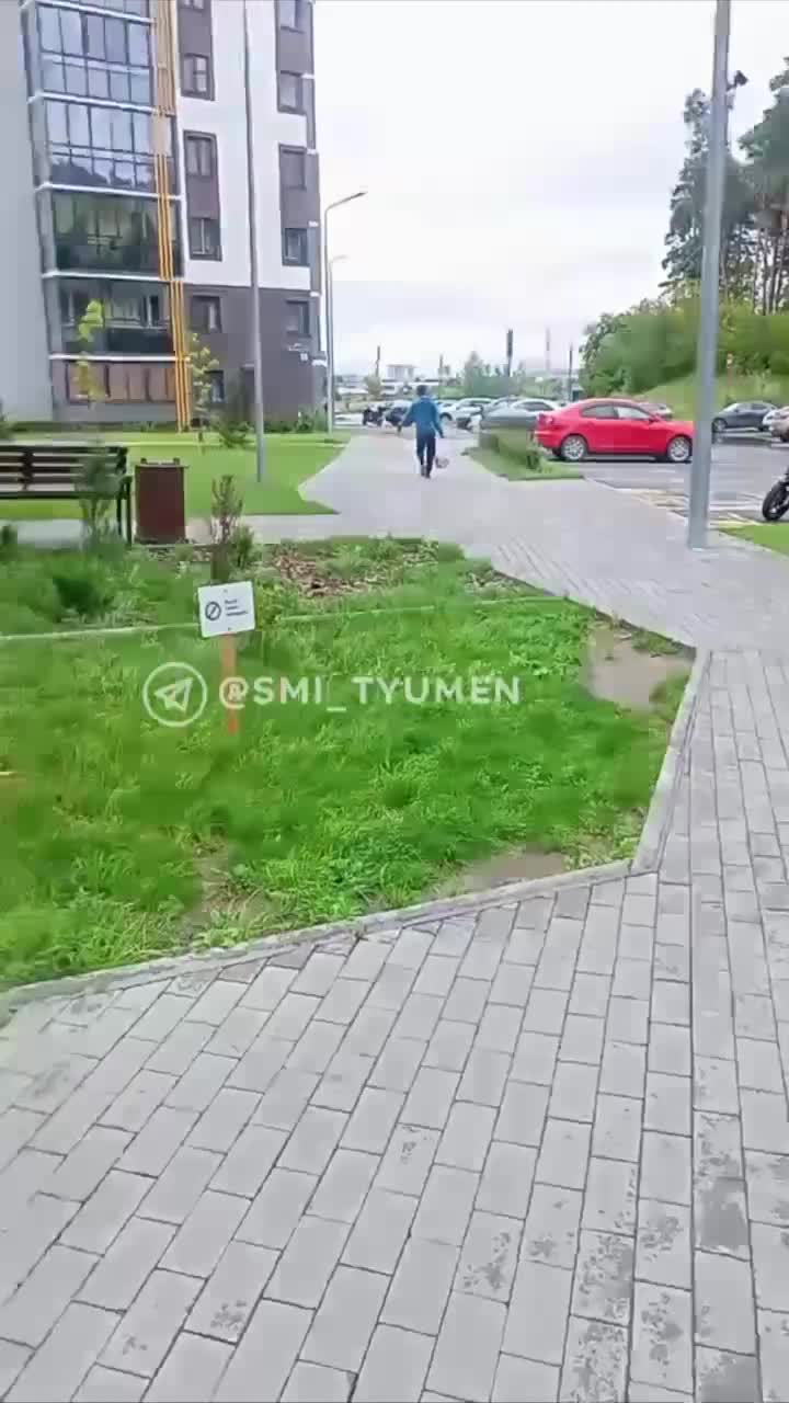В Тирасполе ветка ивы упала на ворота детсада, спасатели устранили препятствие
