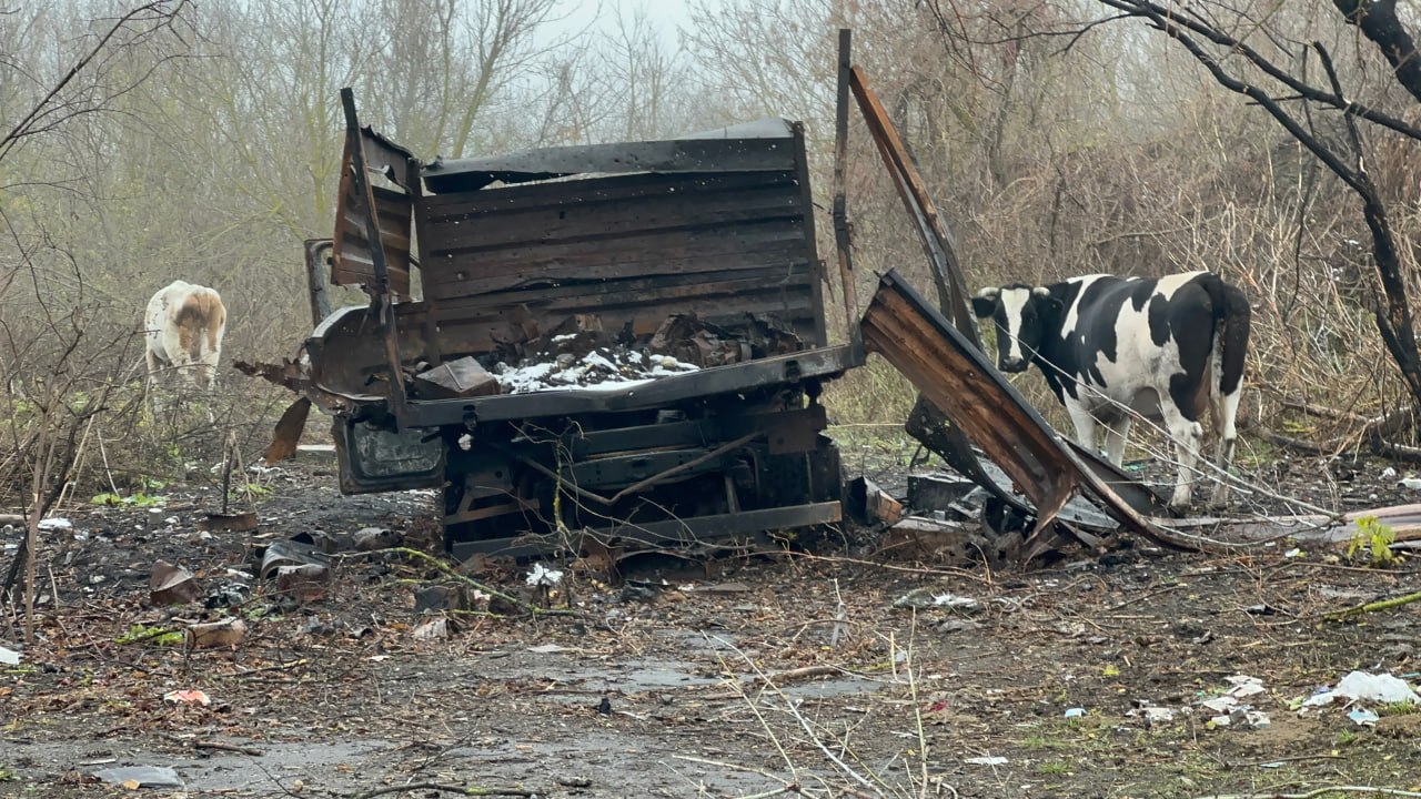 Спасатели вытащили груженый скотом КамАЗ из речки В Ленском районе Якутии спасатели помогли фермерам чей грузовик с животными застрял в реке КамАЗ в кузове которого находилось 27 голов крупного рогатого скота провалился при переезде через речку Мухтуйка по пути из летнего пастбища в село Батамай Глава фермерского хозяйства не справившись с ситуацией самостоятельно обратился за помощью к профессионалам На место происшествия выехали три спасателя Ленского поисково спасательного отряда во главе со старшим Александром Саморцевым Оценив обстановку спасатели поняли что без тяжелой техники не обойтись Они организовали привлечение груженого автомобиля Урал который был предоставлен пожарной службой С его помощью застрявший КамАЗ удалось вытащить на берег Фото Александр КОЦ