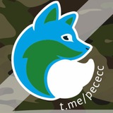 ПЕСЕЦ