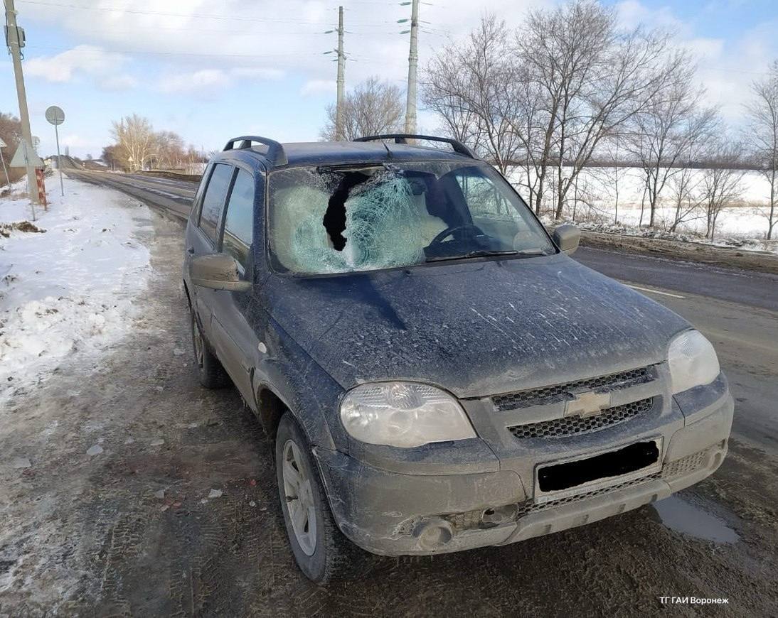 Огромная льдина чуть не убила человека на трассе Богучар — Кантемировка  Большой кусок льда отлетел от большегруза и влетел в лобовое стекло встречной машины.  Пострадала 52-летняя жительница Белгорода. Ее госпитализировали.  Инцидент Воронеж  Хотите чем-то поделиться? Присылайте фото и видео в наш бот-предложку. Лучшее опубликуем!